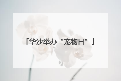 华沙举办“宠物日”